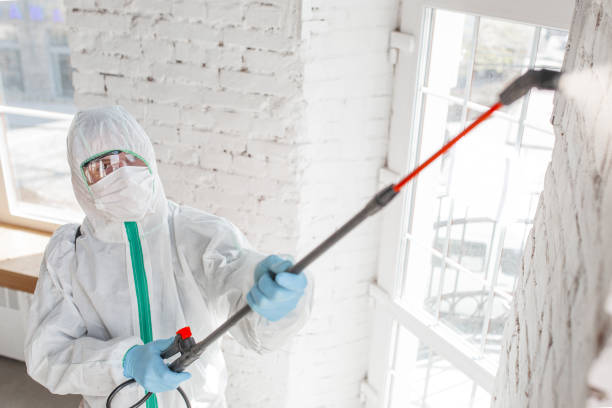 Best Crawl Space Mold Remediation  in New Hope, MN
