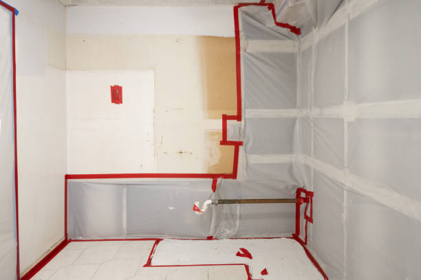Best Mold Odor Removal Services  in New Hope, MN