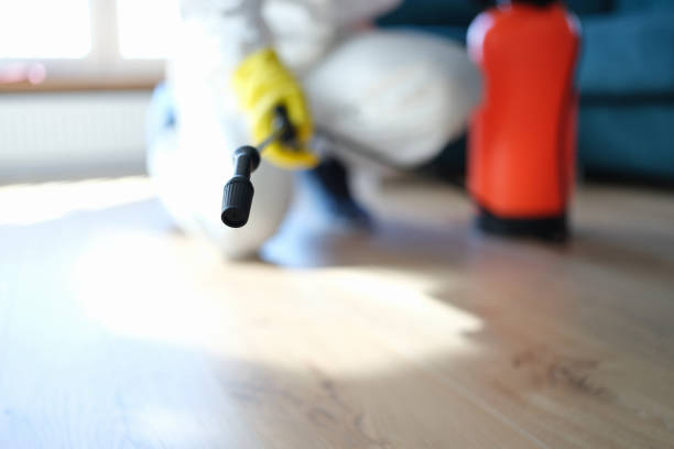 Best Comprehensive Air Testing for Mold Contaminants  in New Hope, MN