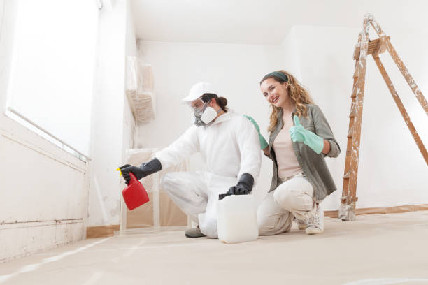 Best Mold Odor Removal Services  in New Hope, MN