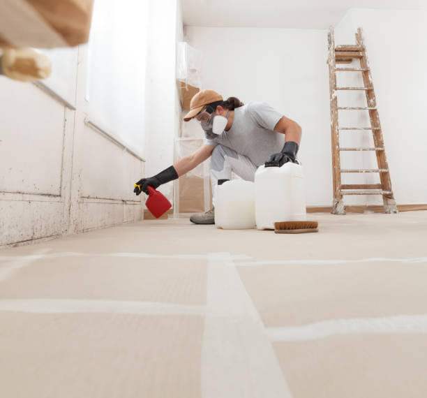  New Hope, MN Mold Removal Pros