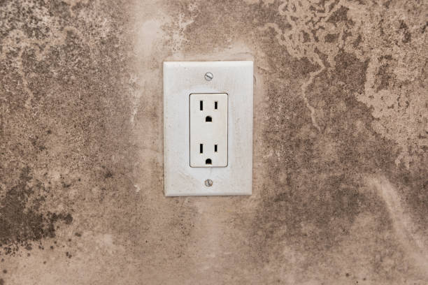 Best Residential Mold Inspection & Testing  in New Hope, MN
