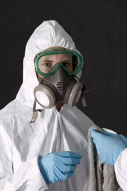 Best Emergency Mold Remediation  in New Hope, MN